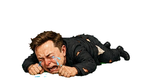 Broke Musk crying with empty pockets